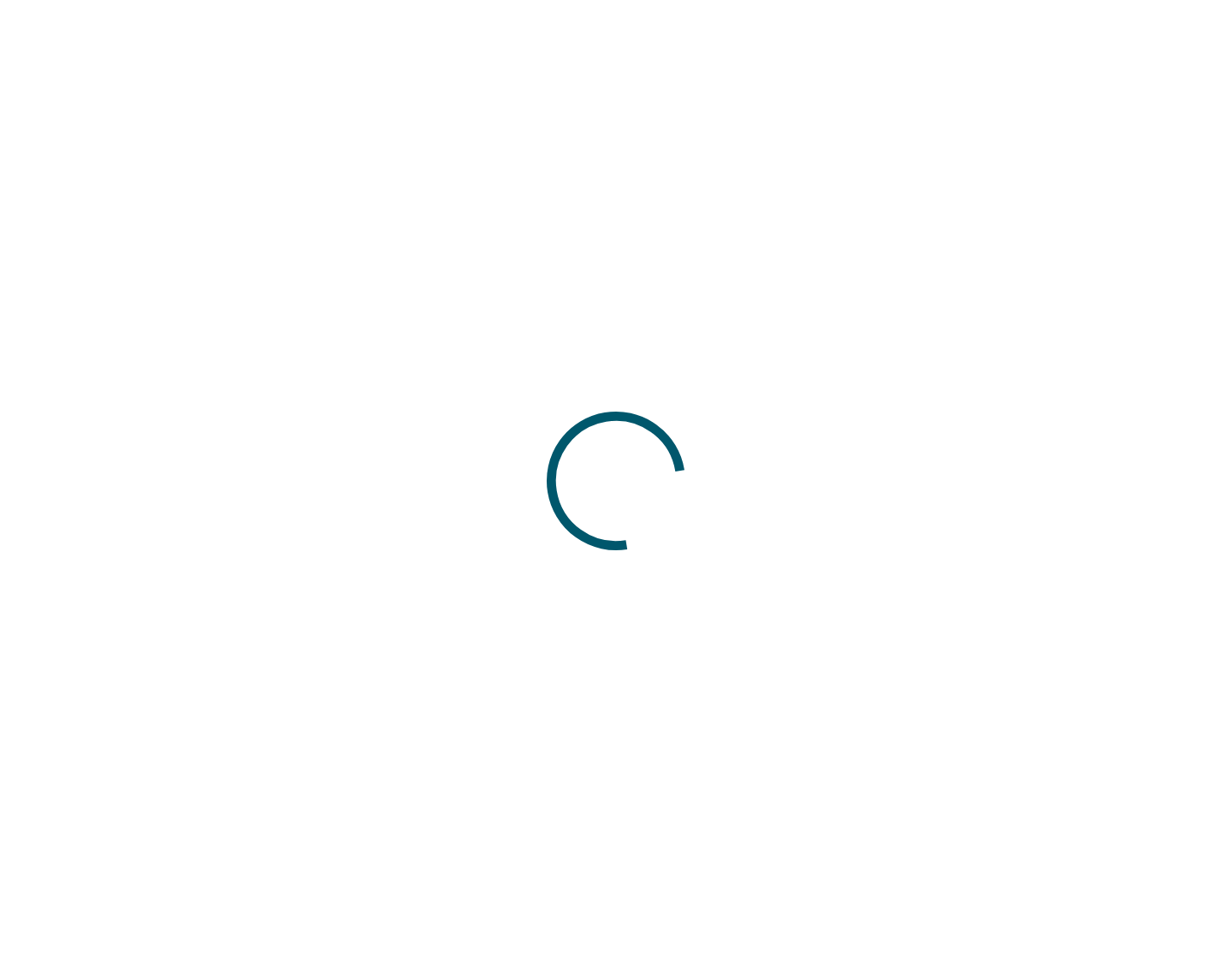 Aktuelle Website-Vorschau von Lewczuk-Renovierung