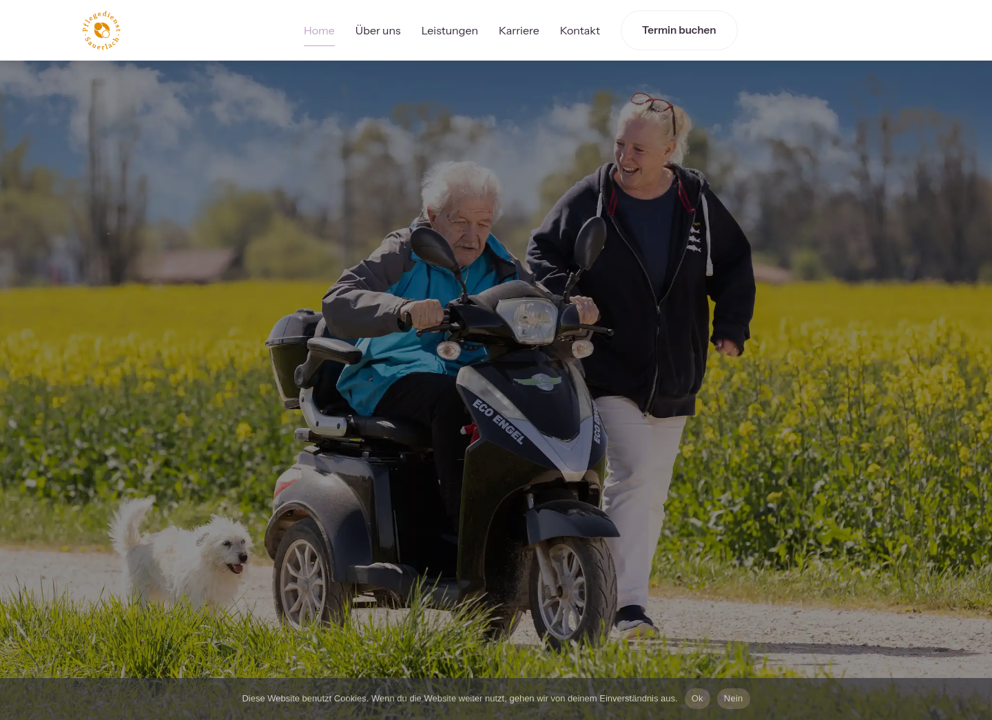 Aktuelle Website-Vorschau von Pflegedienst Sauerland