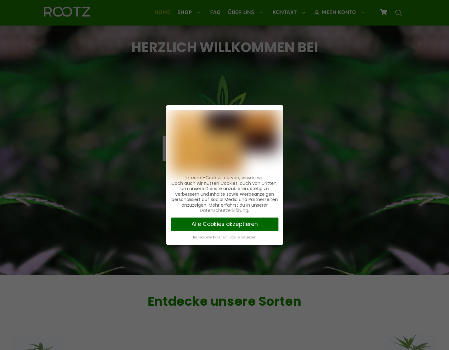 Aktuelle Website-Vorschau von rootzgarden OG