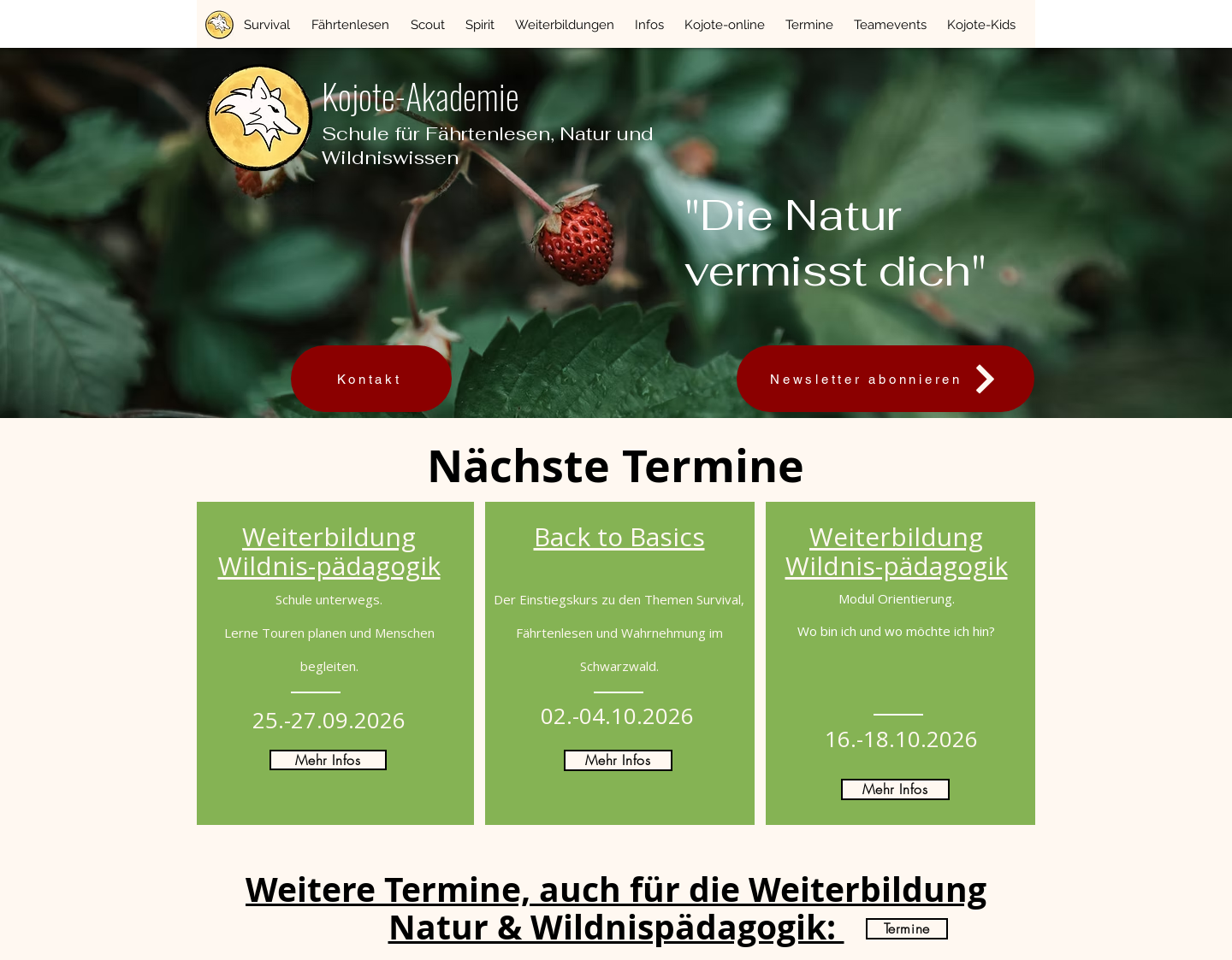 Aktuelle Website-Vorschau von Kojote-Akademie