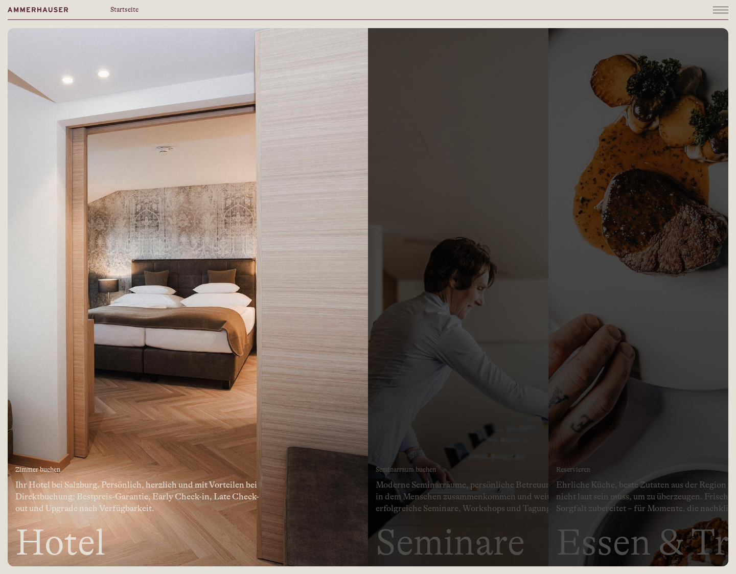 Aktuelle Website-Vorschau von Seminarhotel Österreich Busisness Hotel