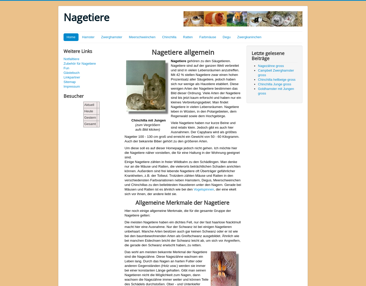 Aktuelle Website-Vorschau von Alles über Nagetiere