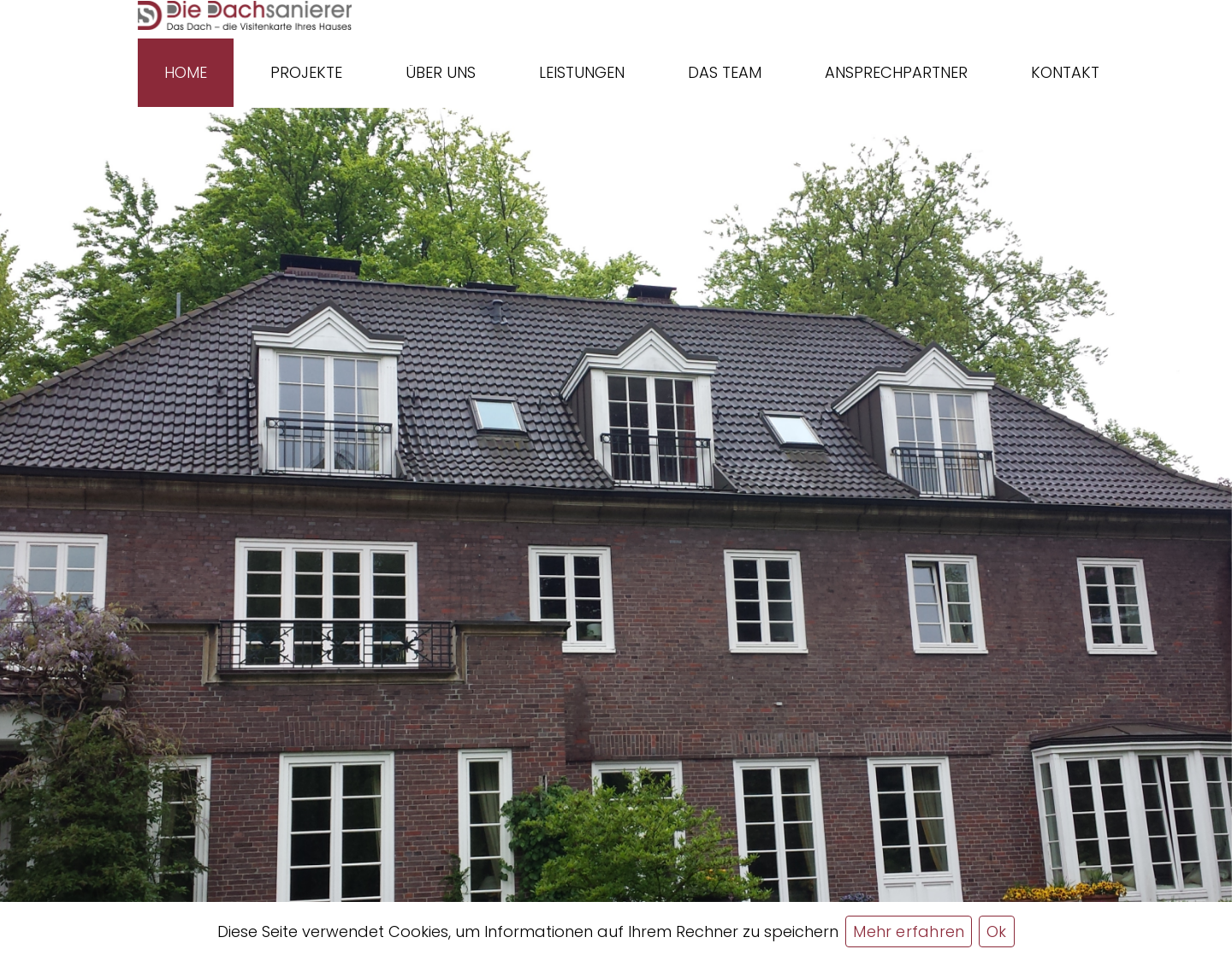Aktuelle Website-Vorschau von Dachbeschichtung