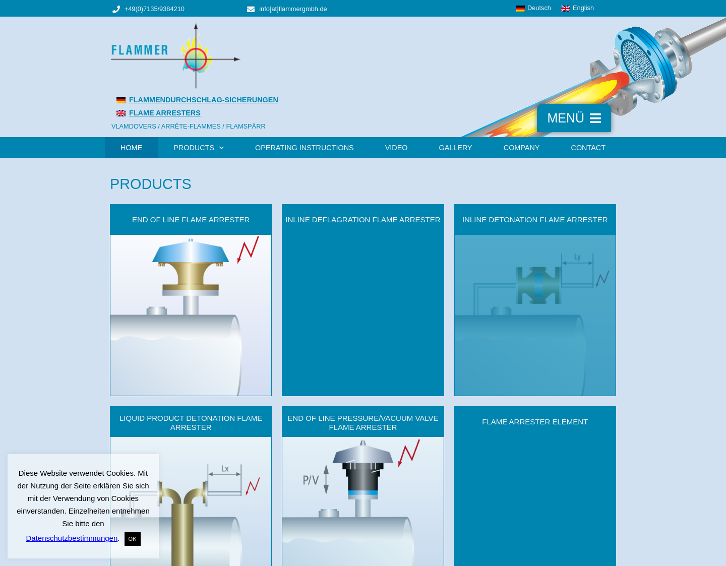 Aktuelle Website-Vorschau von Flammer GmbH