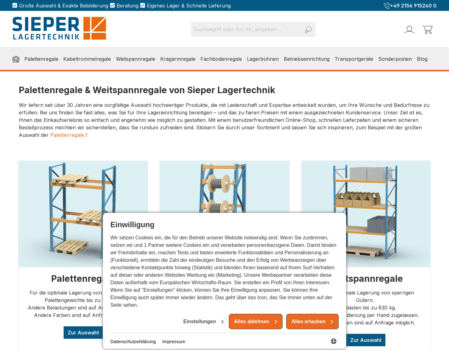 Aktuelle Website-Vorschau von Regalsysteme vom Experten