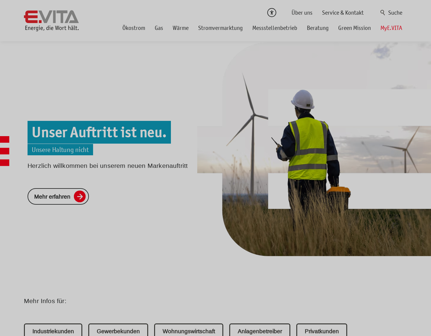 Aktuelle Website-Vorschau von Strom von EVITA