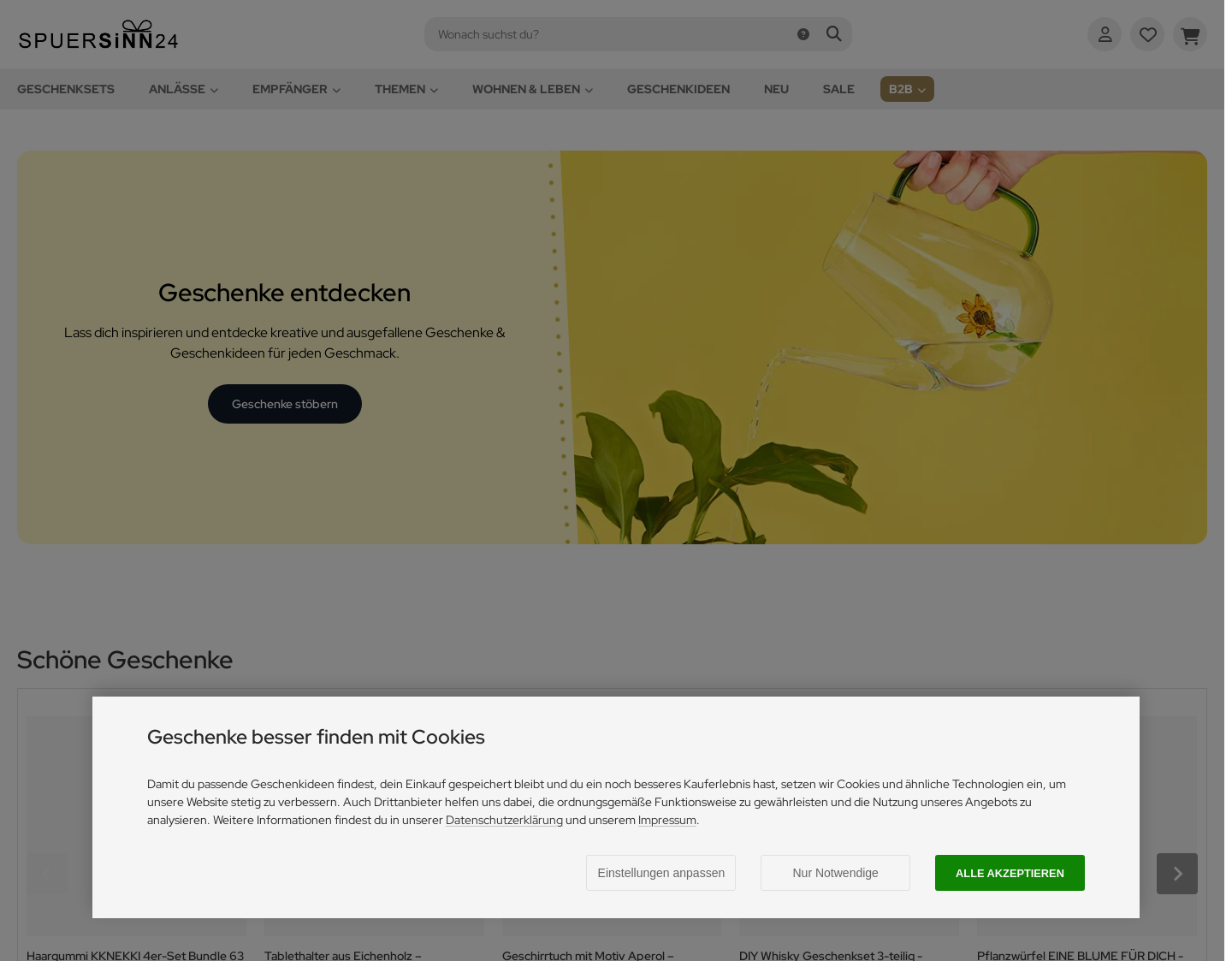 Aktuelle Website-Vorschau von Designshop Spuersinn24