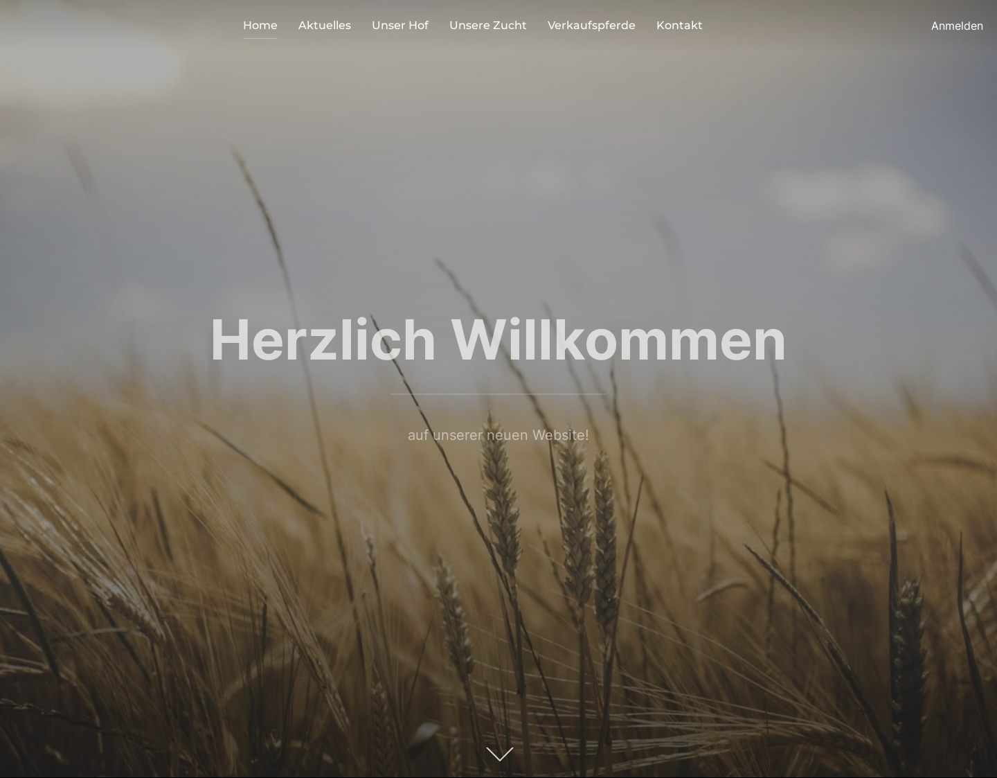 Aktuelle Website-Vorschau von Zuchthof Galneder
