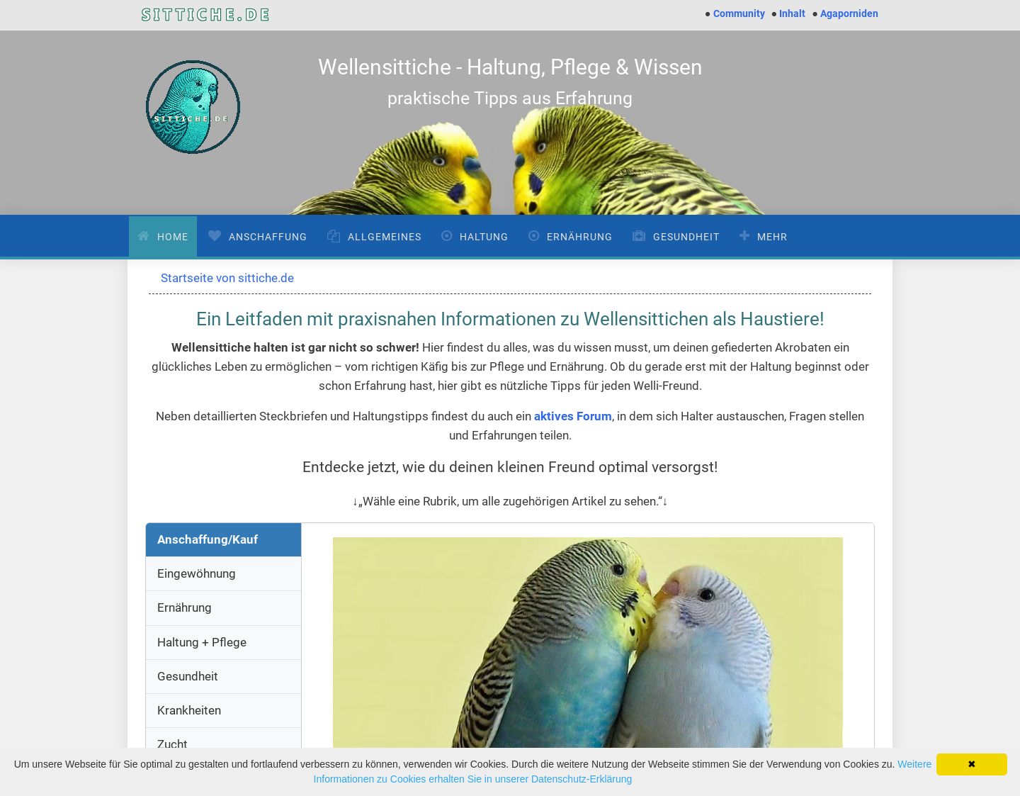 Aktuelle Website-Vorschau von Wellensittich ABC