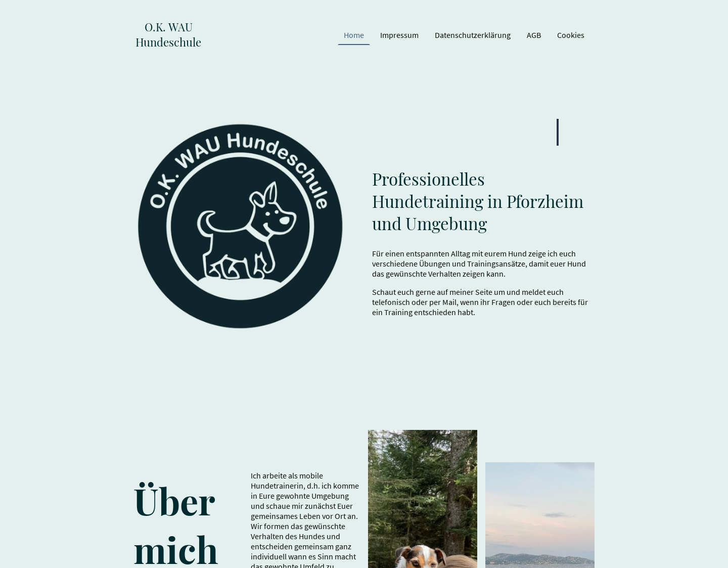 Aktuelle Website-Vorschau von Hundeschule Pforzheim / Enzkreis