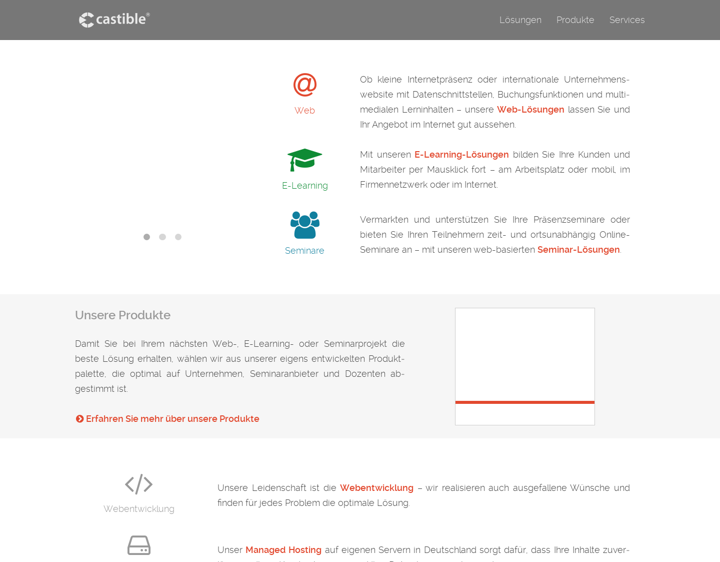 Aktuelle Website-Vorschau von castible E-Learning Technologien