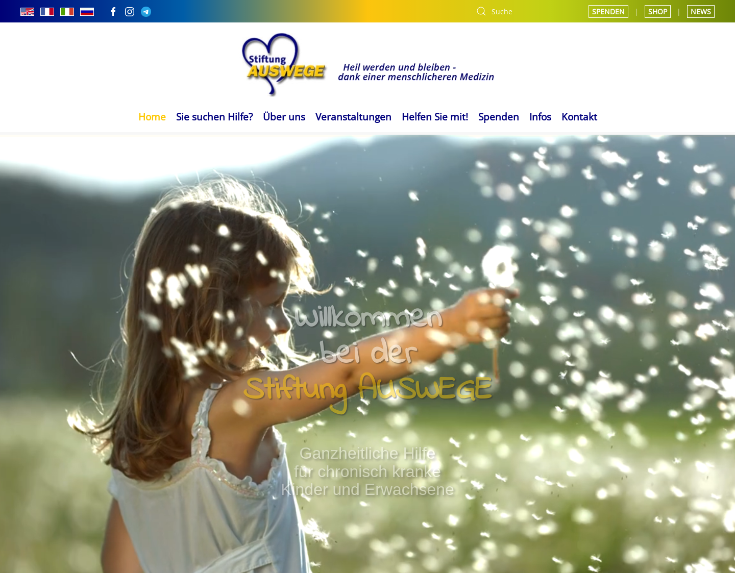 Aktuelle Website-Vorschau von Stiftung Auswege