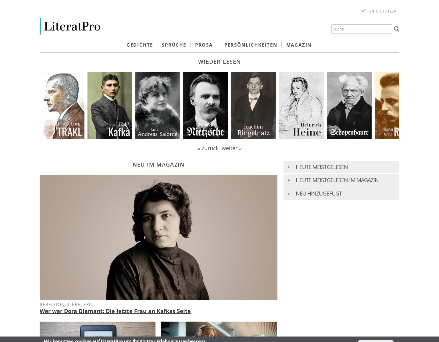 Aktuelle Website-Vorschau von LiteratPro.de