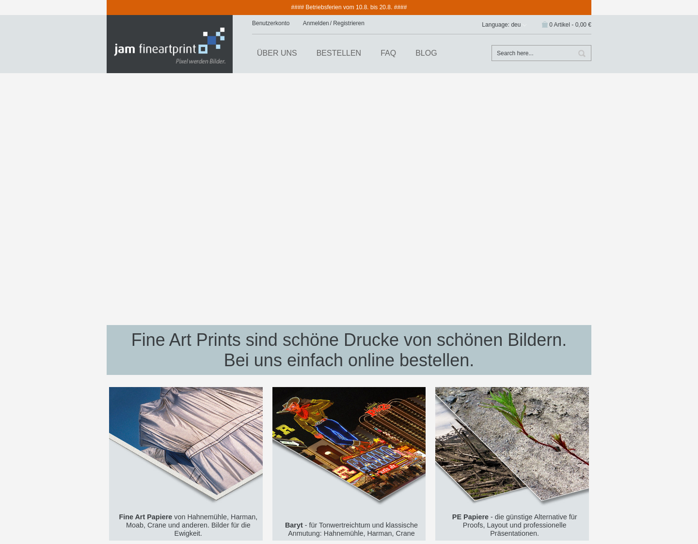 Aktuelle Website-Vorschau von Fine Art Druck
