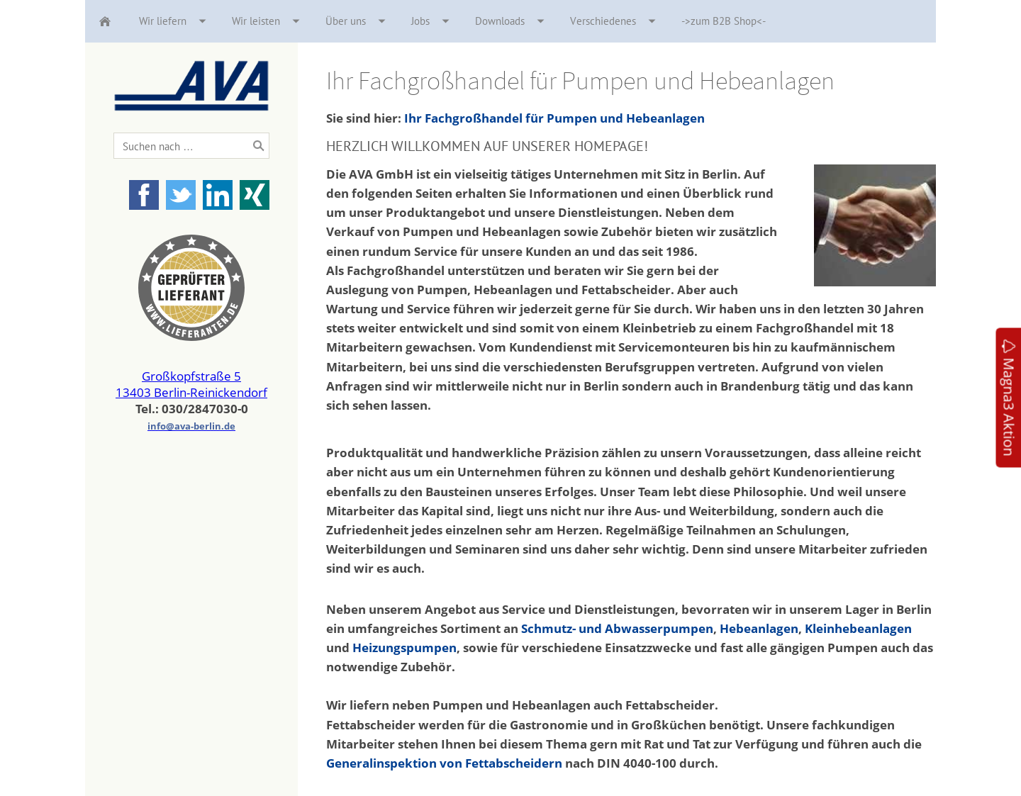 Aktuelle Website-Vorschau von Pumpen mit System
