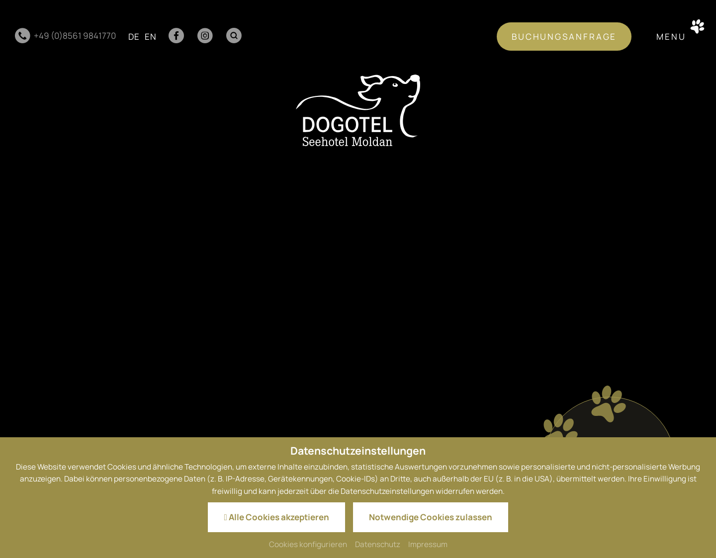 Aktuelle Website-Vorschau von Ferien mit Hund