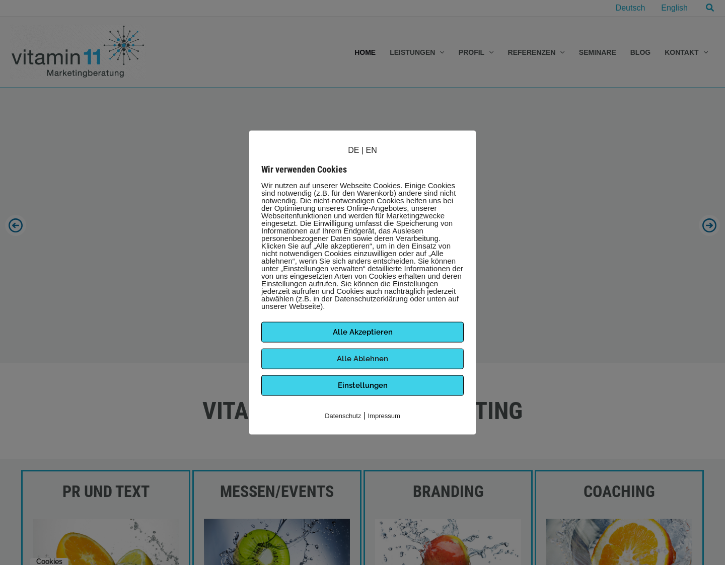 Aktuelle Website-Vorschau von Vitamin11 Marketingberatung