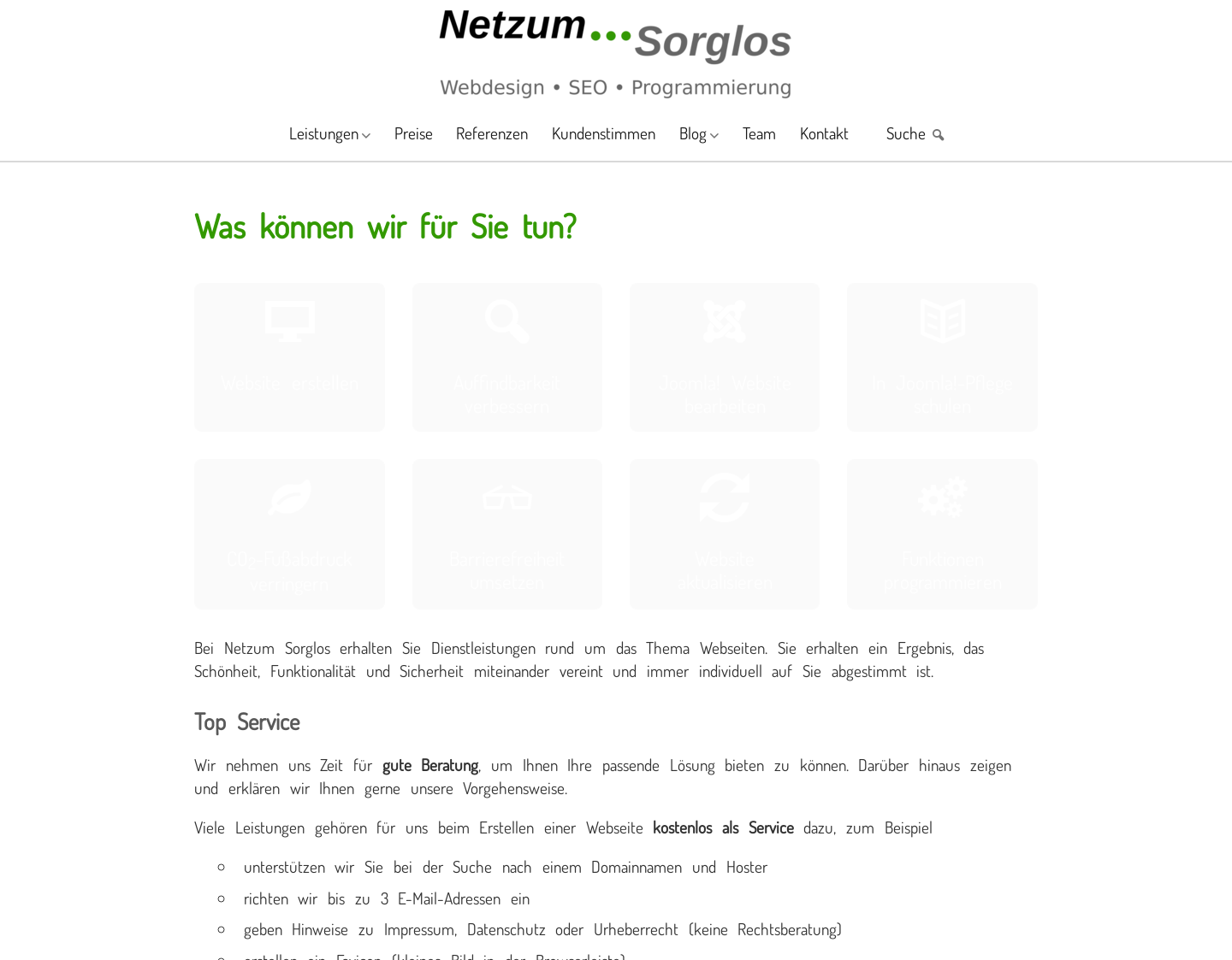 Aktuelle Website-Vorschau von Netzum Sorglos Software GmbH
