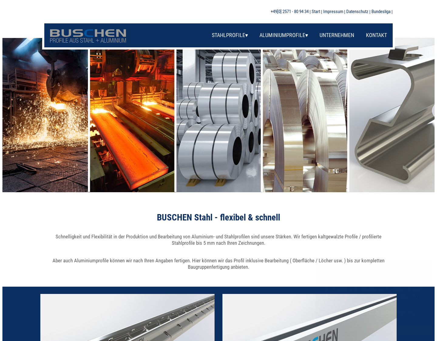 Aktuelle Website-Vorschau von Buschen Profile aus Stahl und Aluminium