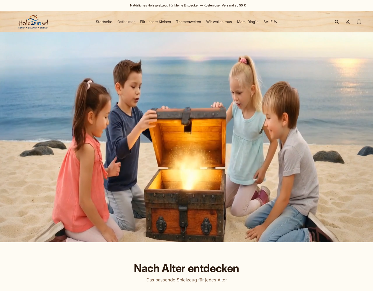 Aktuelle Website-Vorschau von Holzspielzeug