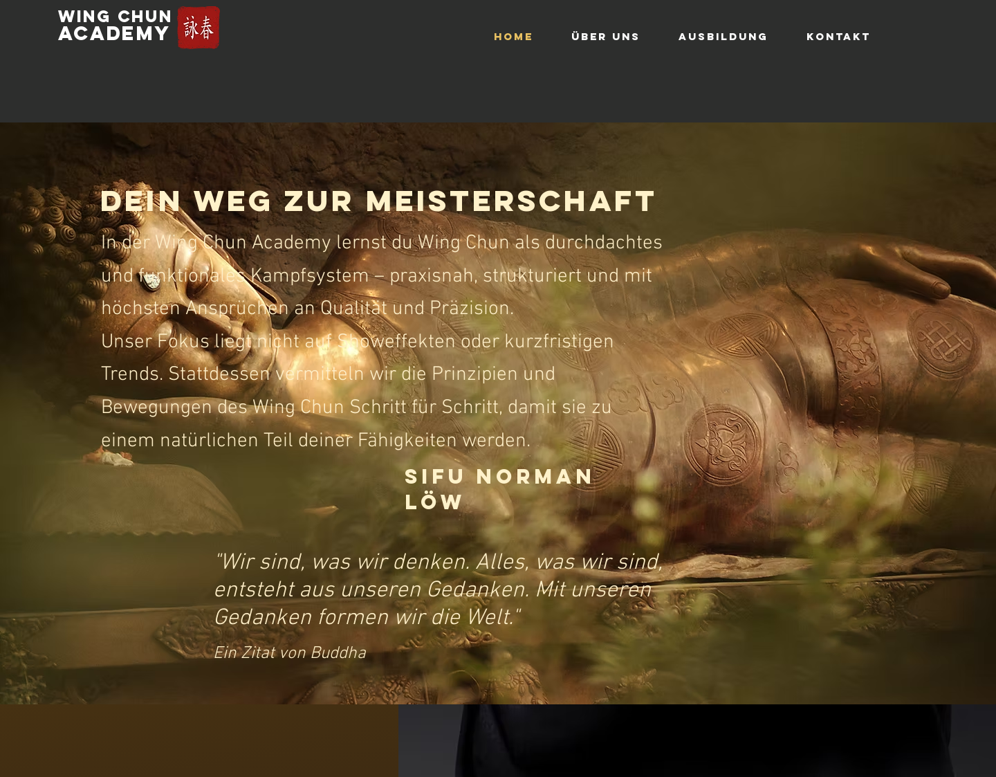 Aktuelle Website-Vorschau von Wing Chun-Academy