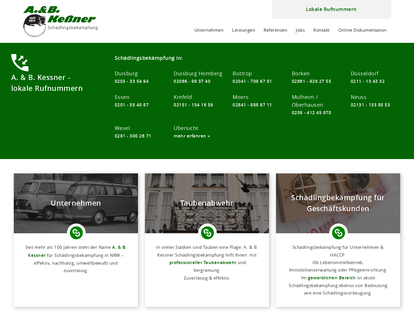 Aktuelle Website-Vorschau von A. & B. Keßner Schädlingsbekämpfung