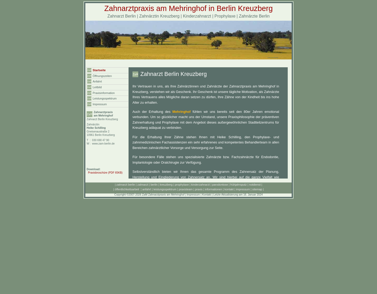 Aktuelle Website-Vorschau von Zahnarzt Praxis am Mehringhof