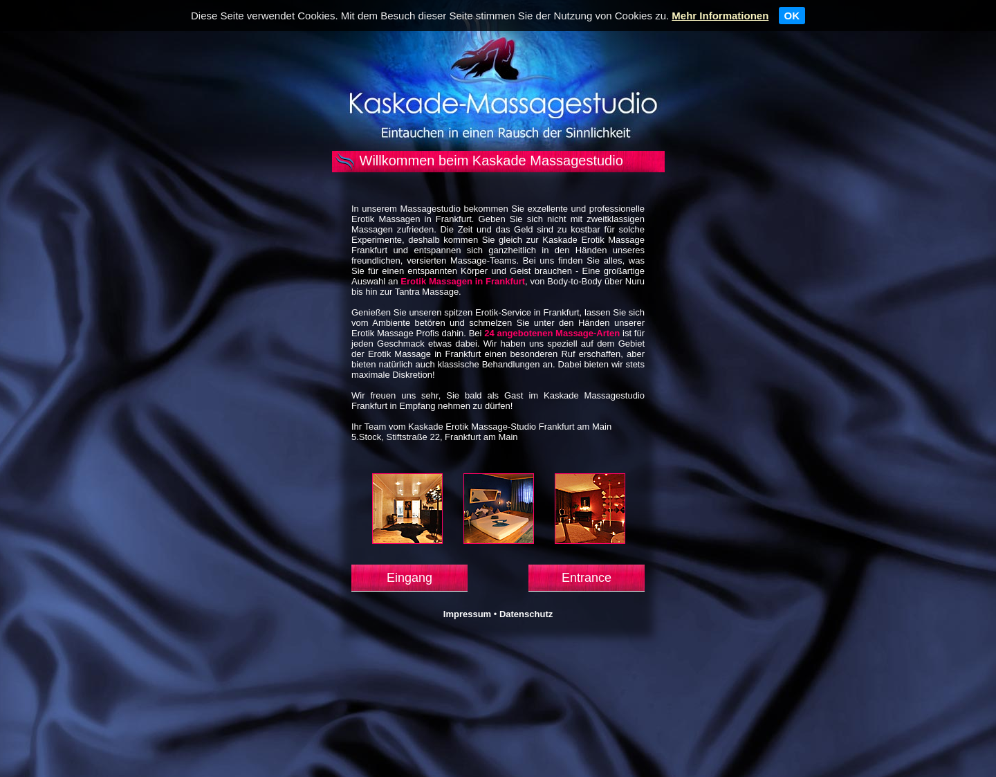 Aktuelle Website-Vorschau von Body-to-Body Massage Frankfurt