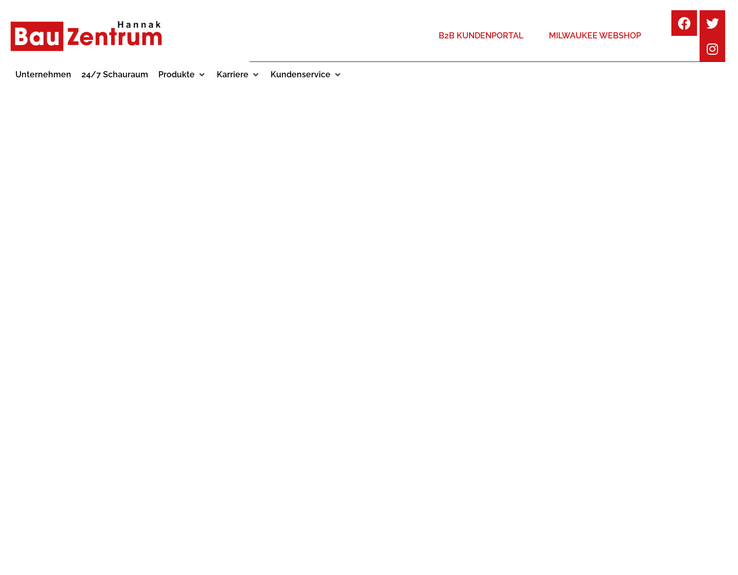 Aktuelle Website-Vorschau von Bauzentrum Hannak, Salzburg