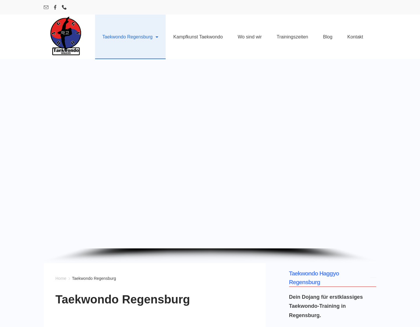 Aktuelle Website-Vorschau von Taekwondo Regensburg