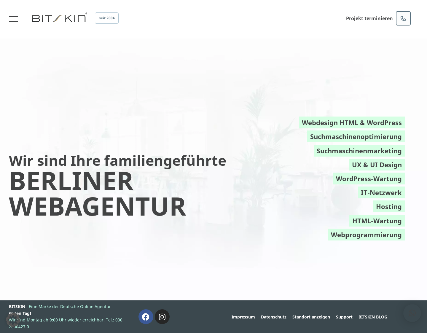 Aktuelle Website-Vorschau von Bitskin Webdesign Agentur