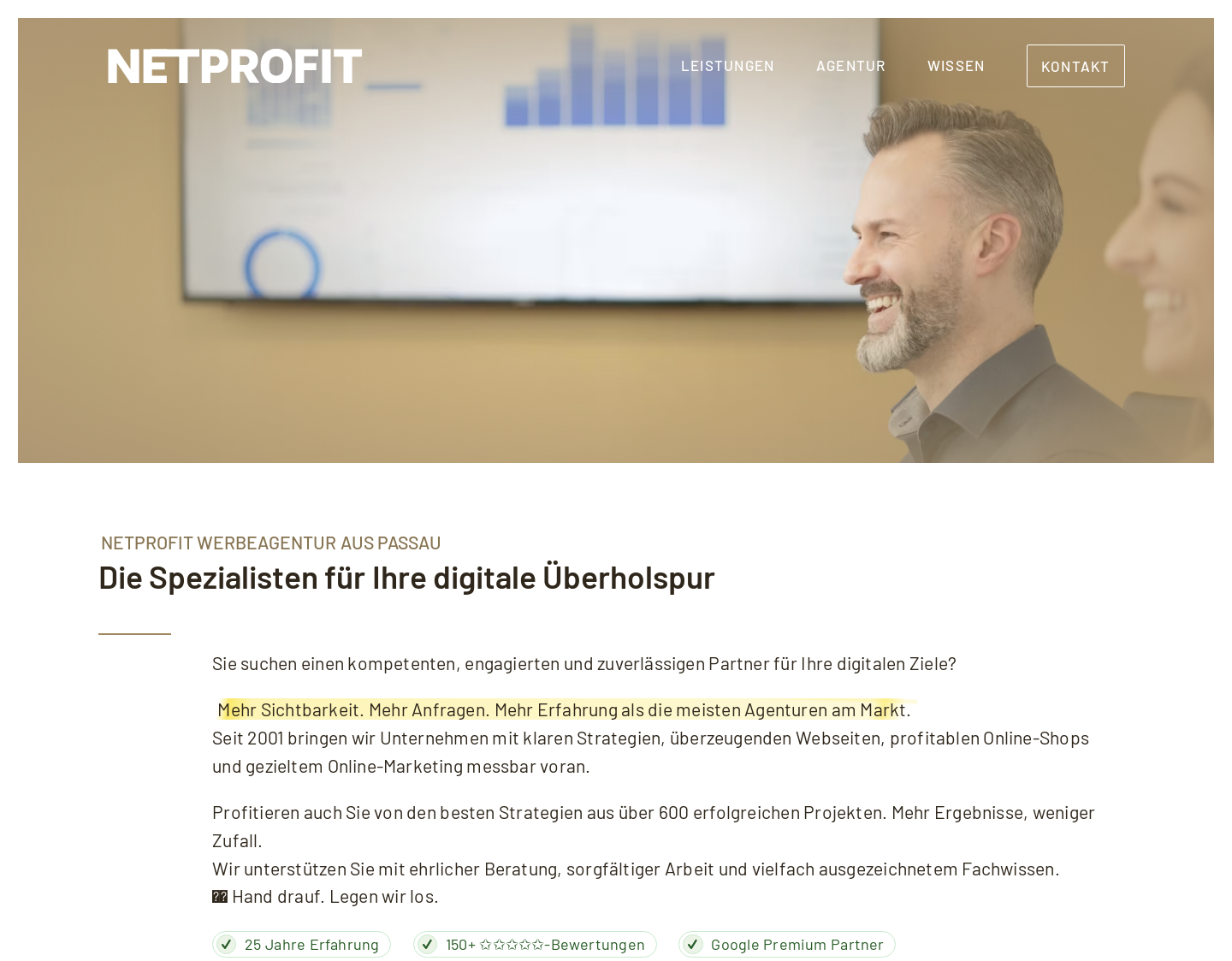 Aktuelle Website-Vorschau von Netprofit Webseiten-Optimierung