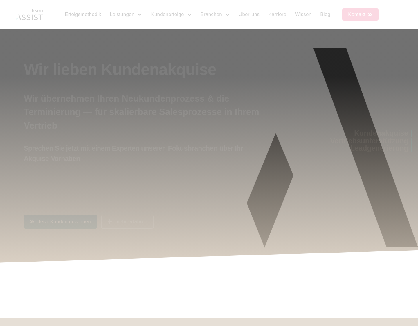 Aktuelle Website-Vorschau von triveo® Telemarketing
