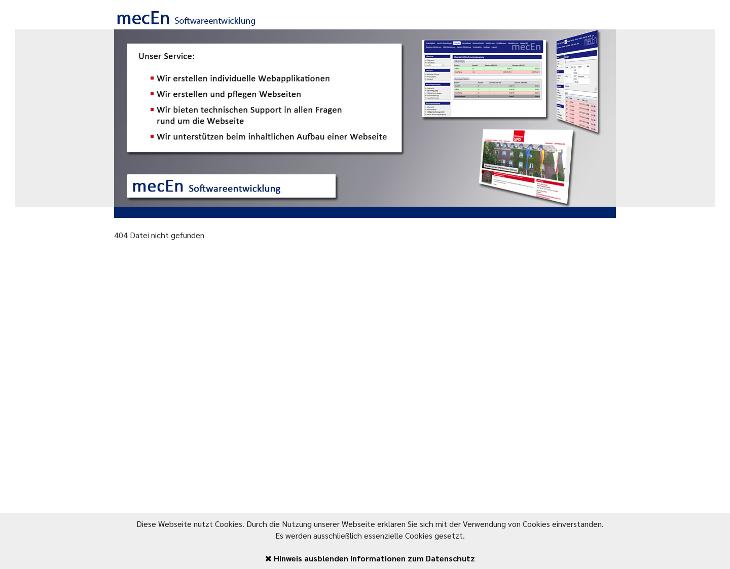 Aktuelle Website-Vorschau von mecEn Software
