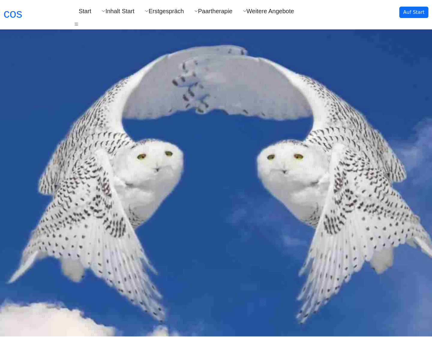 Aktuelle Website-Vorschau von Paar-Coaching und Paartherapie