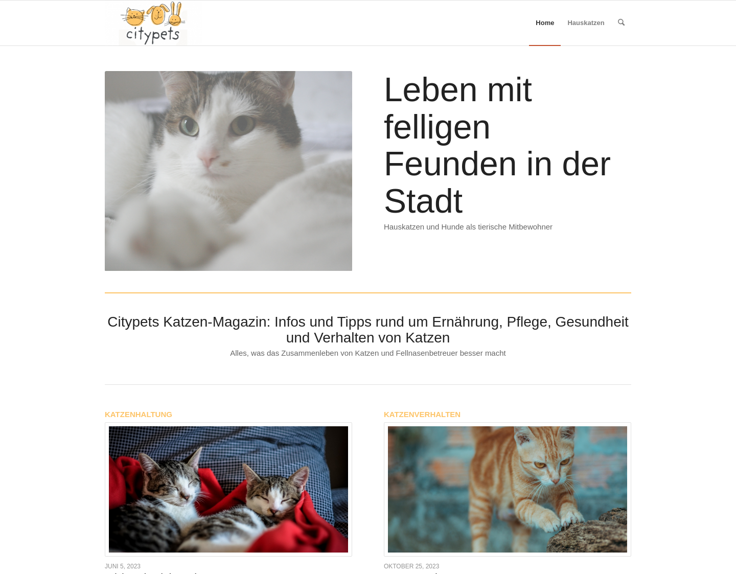 Aktuelle Website-Vorschau von Hauskatzen halten in der Stadt