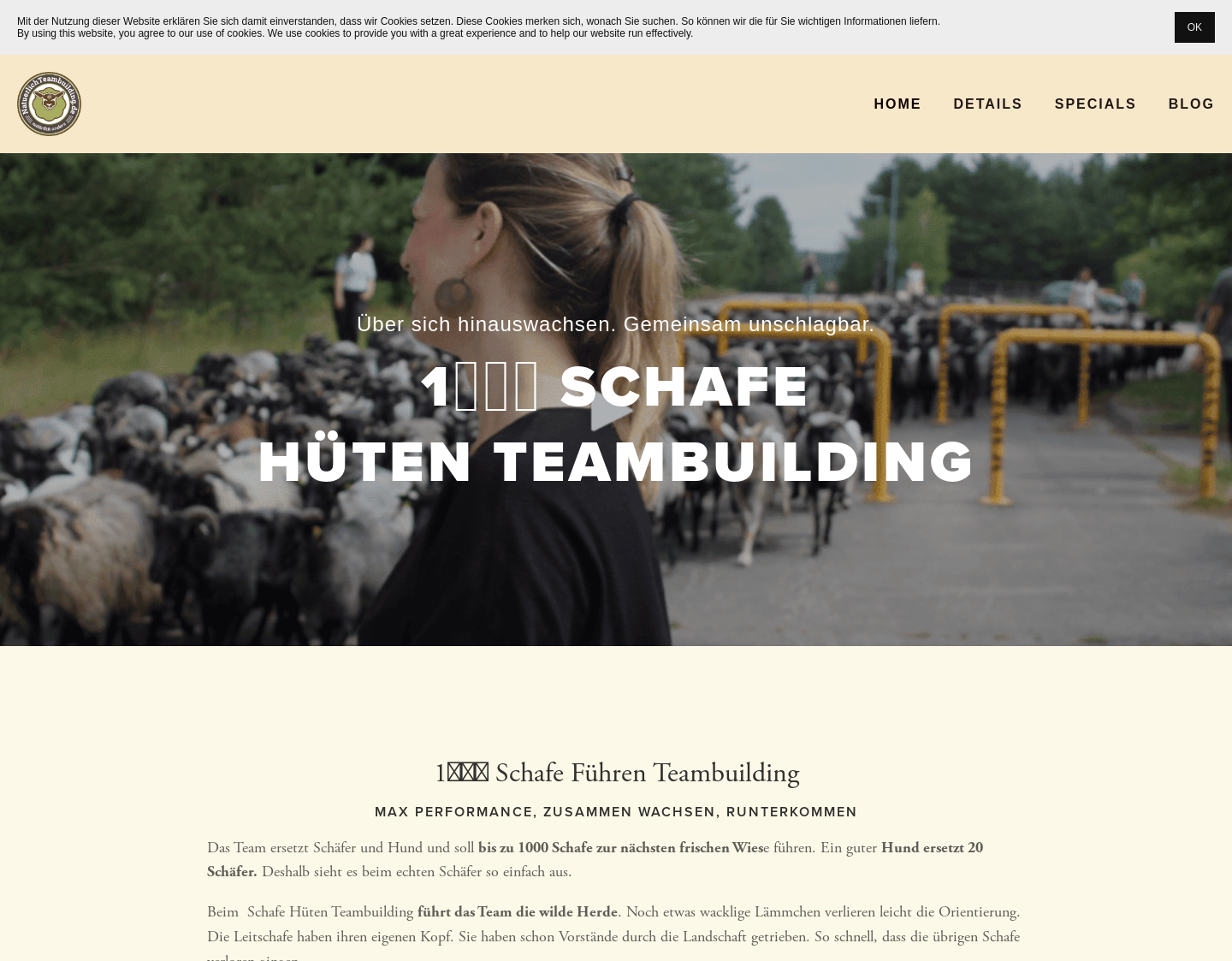 Aktuelle Website-Vorschau von Teambuilding tierisch erfolgreich