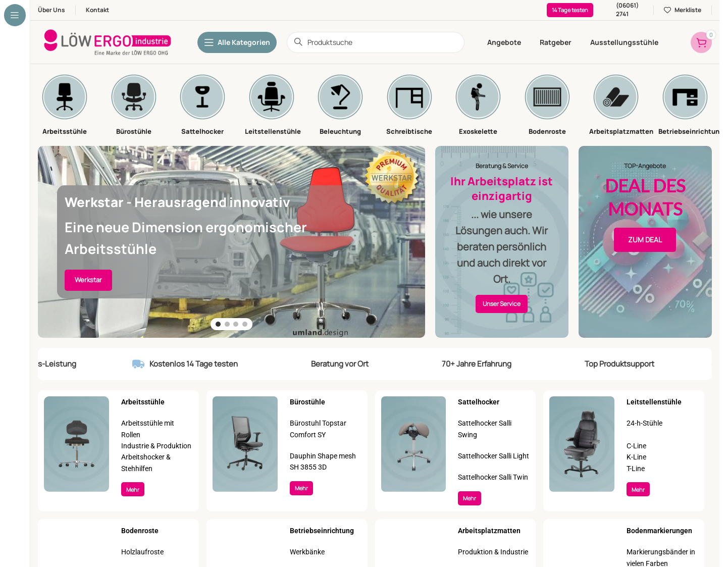 Aktuelle Website-Vorschau von Löw Ergo