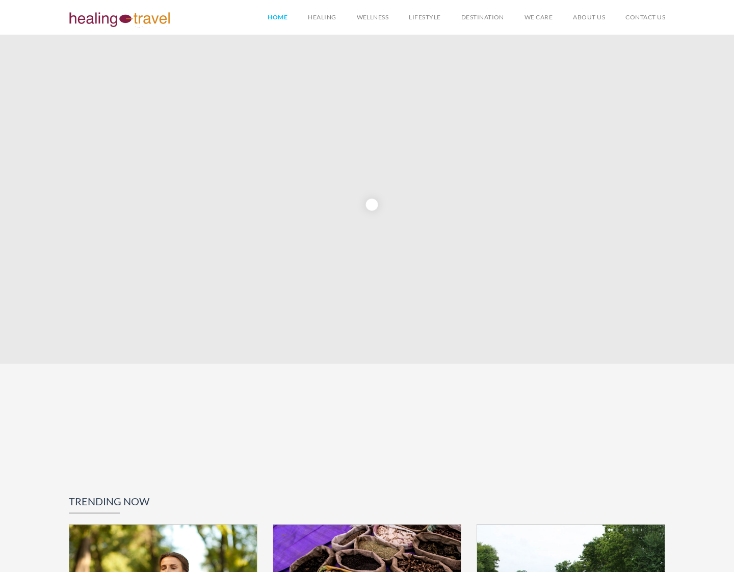 Aktuelle Website-Vorschau von Ayurveda-Reisen