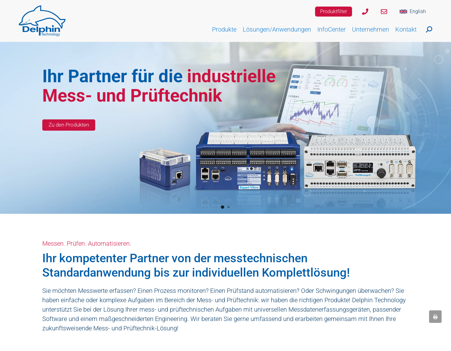 Aktuelle Website-Vorschau von Delphin Technology AG