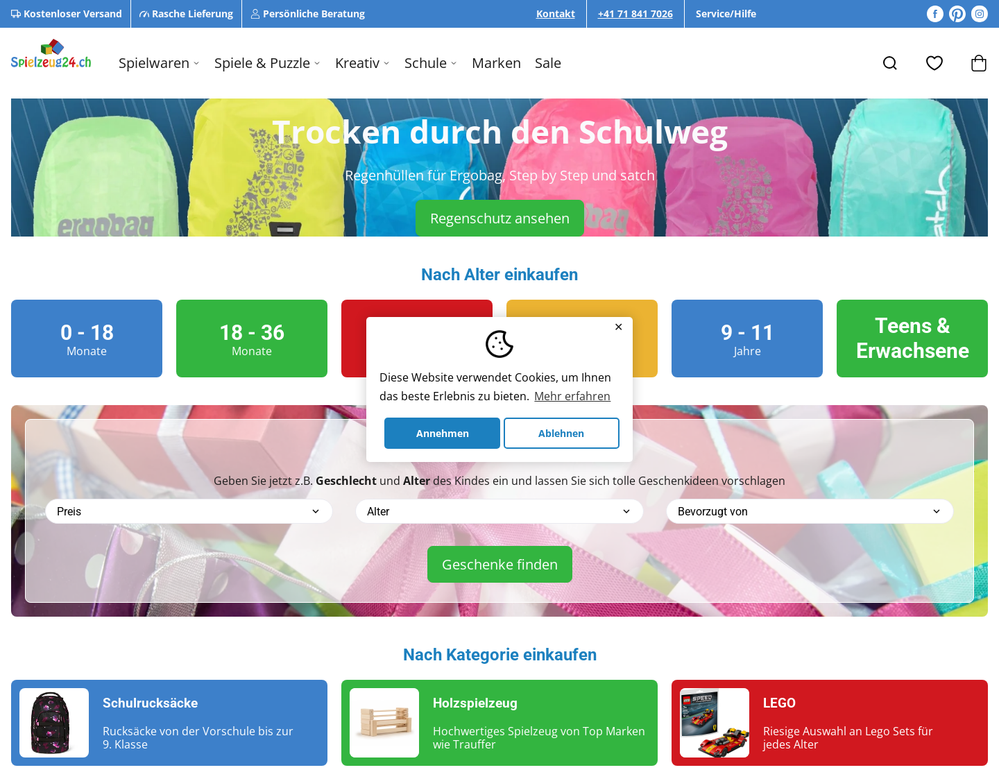 Aktuelle Website-Vorschau von Playmobil