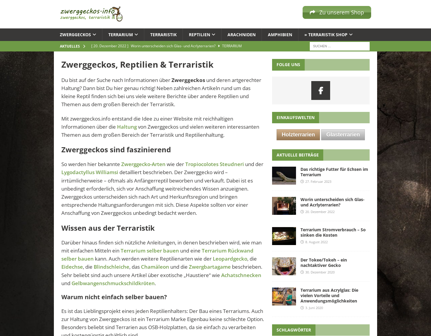Aktuelle Website-Vorschau von Zwerggeckos und Terrariumbau