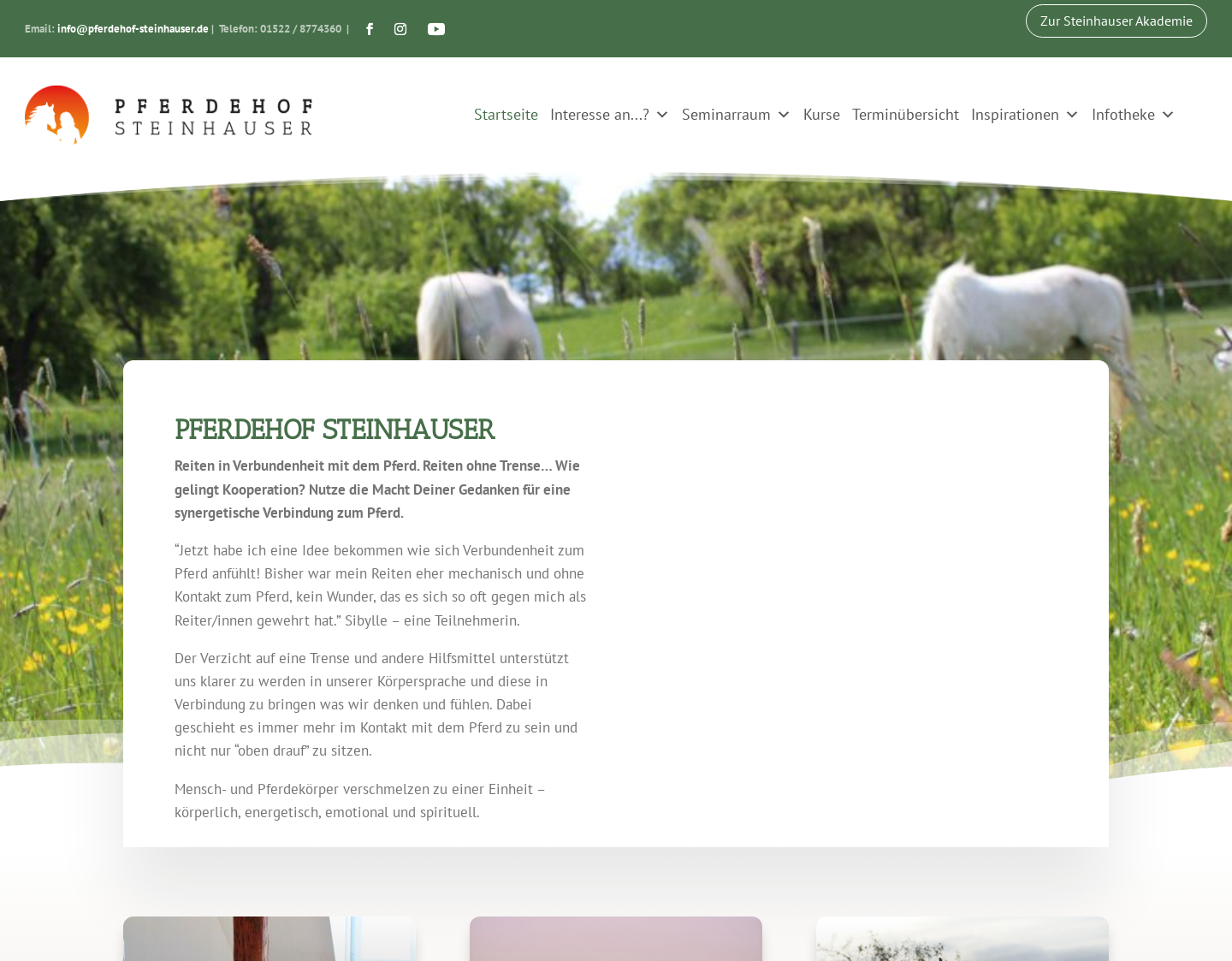 Aktuelle Website-Vorschau von Pferdehof Steinhauser