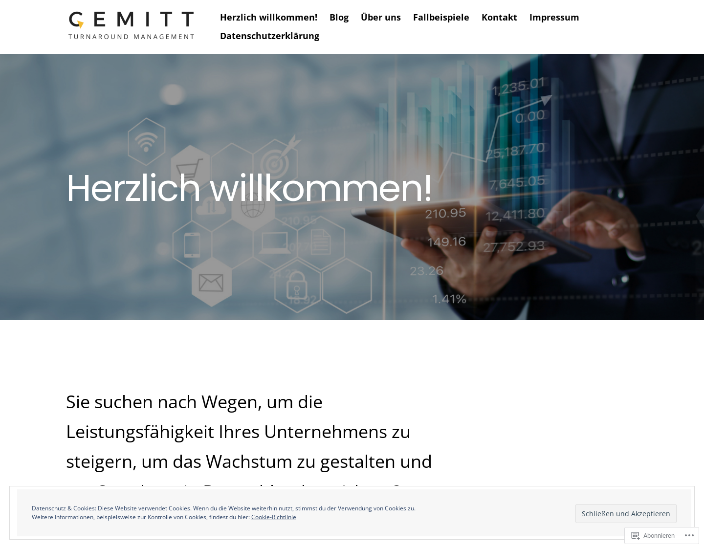 Aktuelle Website-Vorschau von Cemitt GmbH Unternehmensberatung