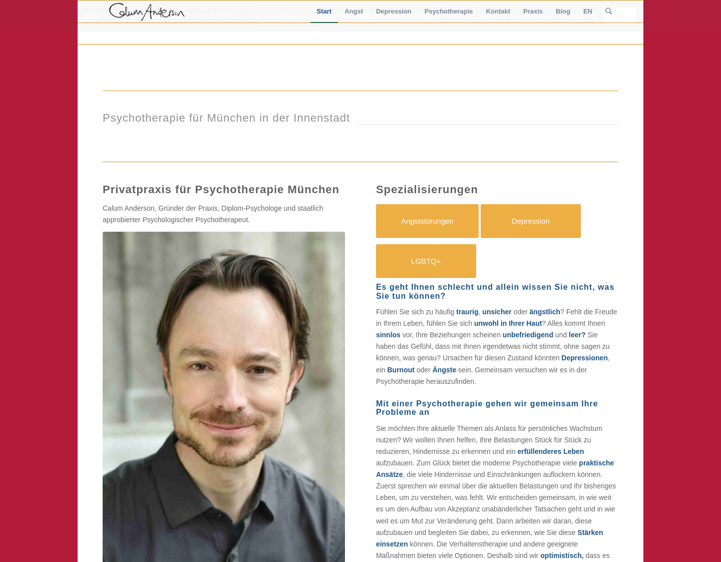 Aktuelle Website-Vorschau von Dipl.-Psych. Calum Anderson