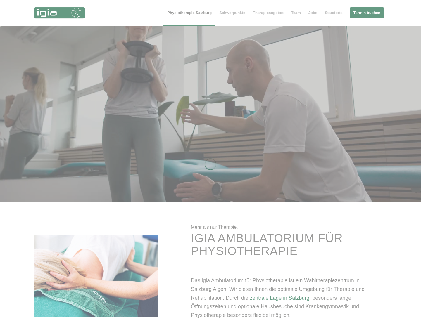 Aktuelle Website-Vorschau von IGIA - Ambulatorium für Physiotherapie