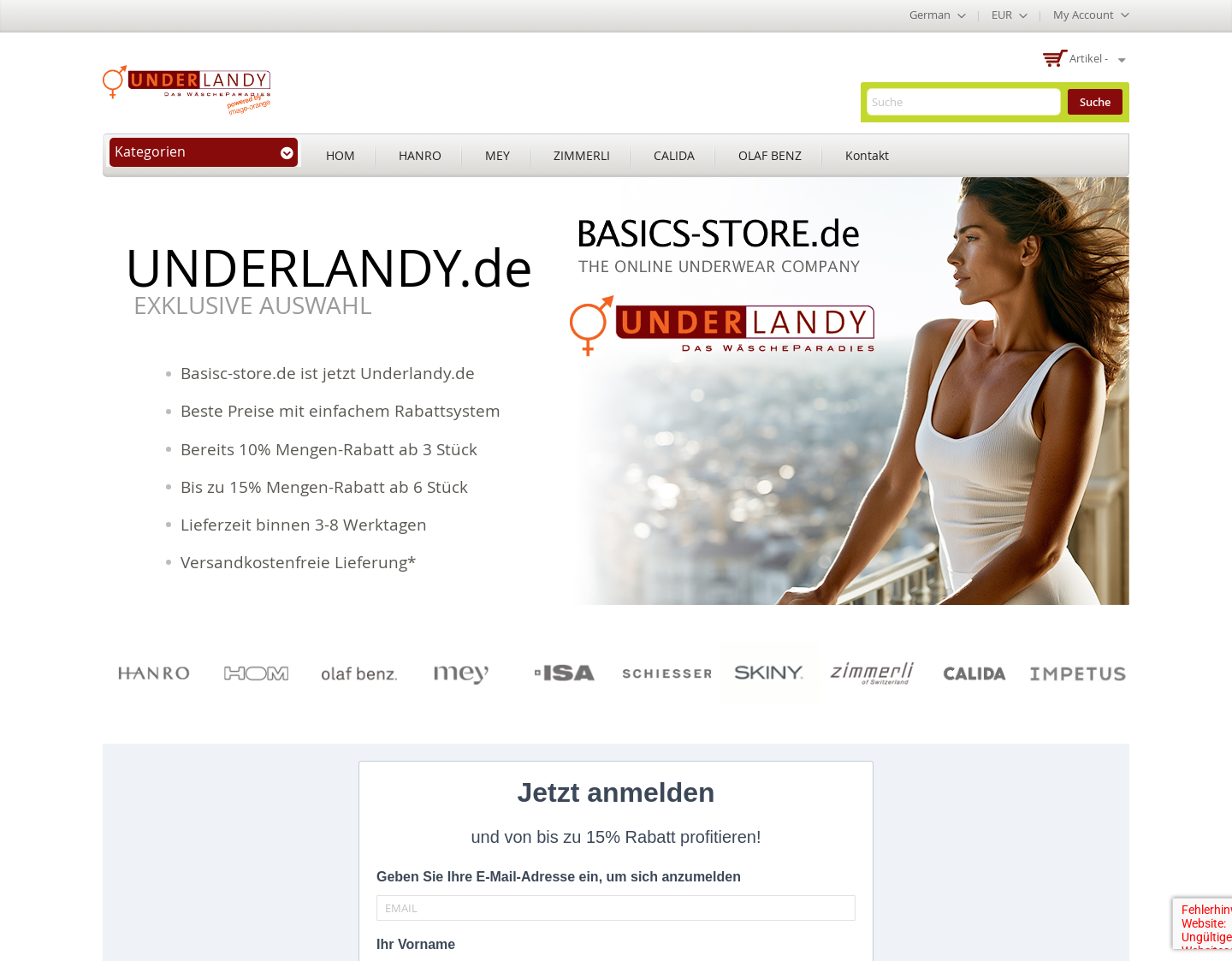 Aktuelle Website-Vorschau von Basics-Store