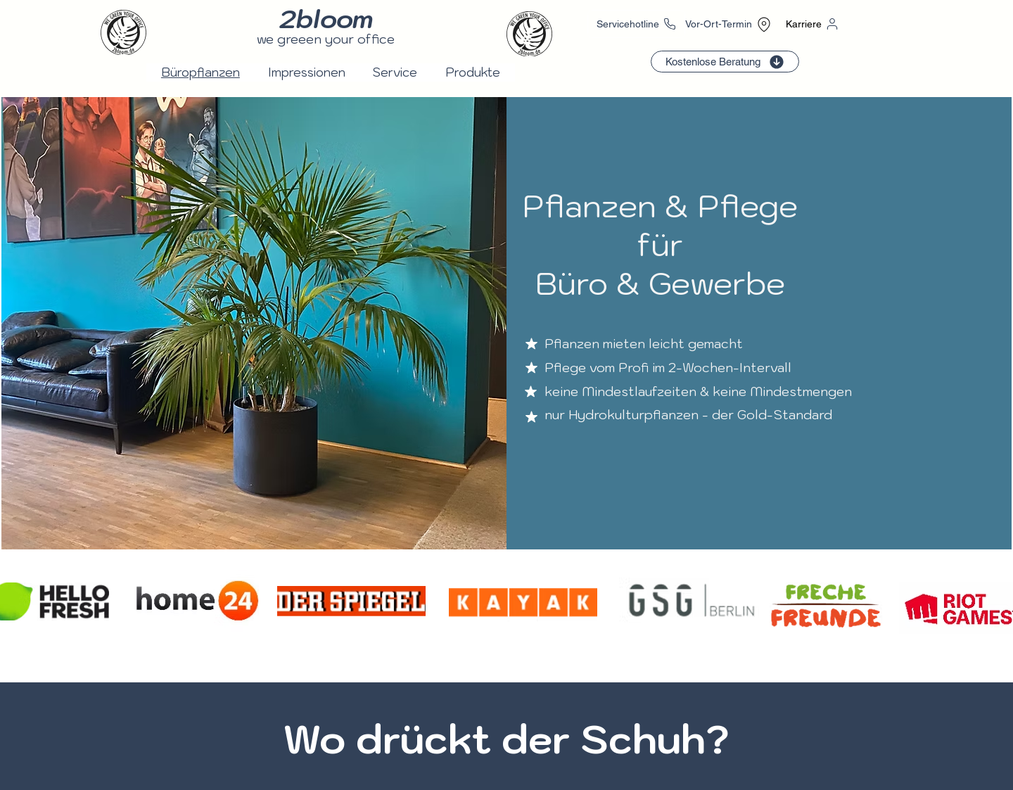 Aktuelle Website-Vorschau von Hauspflanzen Online