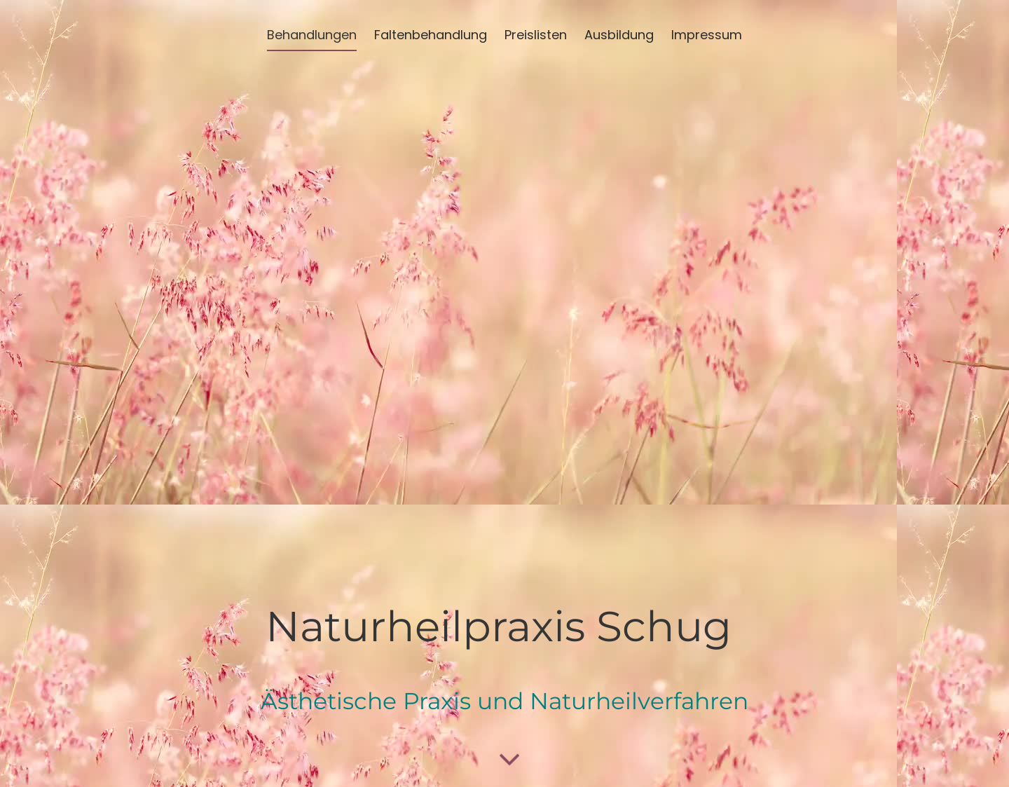 Aktuelle Website-Vorschau von Naturheilpraxis Schug| Ästhetische