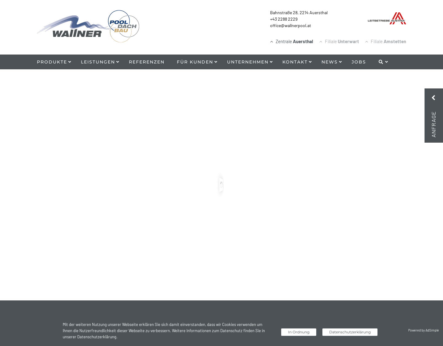 Aktuelle Website-Vorschau von Schwimmbecken